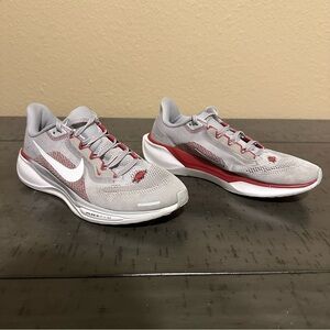 Nike Men’s Zoom Pegasus 41 Arkansas Razorbacks Shoes